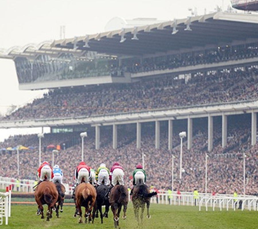 Cheltenham Racecourse